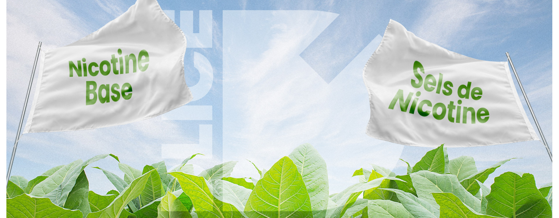 Nicotine classique ou sel de nicotine : que choisir pour son e-liquide ?