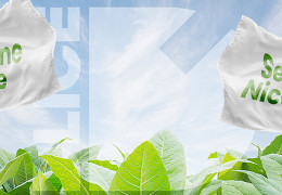 Nicotine classique ou sel de nicotine : que choisir pour son e-liquide ?