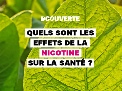 Un tabacologue explique quels sont les effets de la nicotine sur la santé